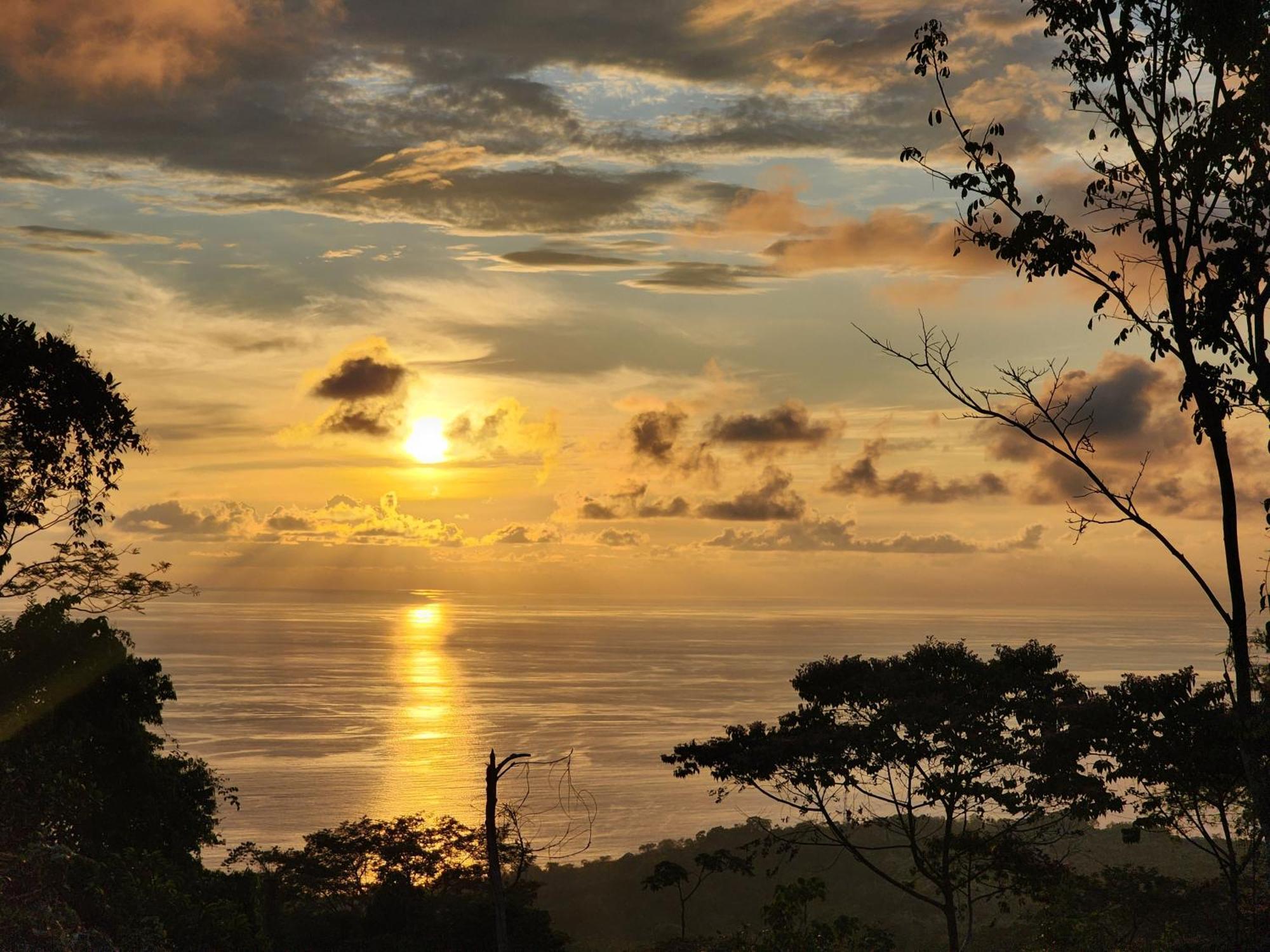 Canavida Villas & Resort Uvita Eksteriør bilde