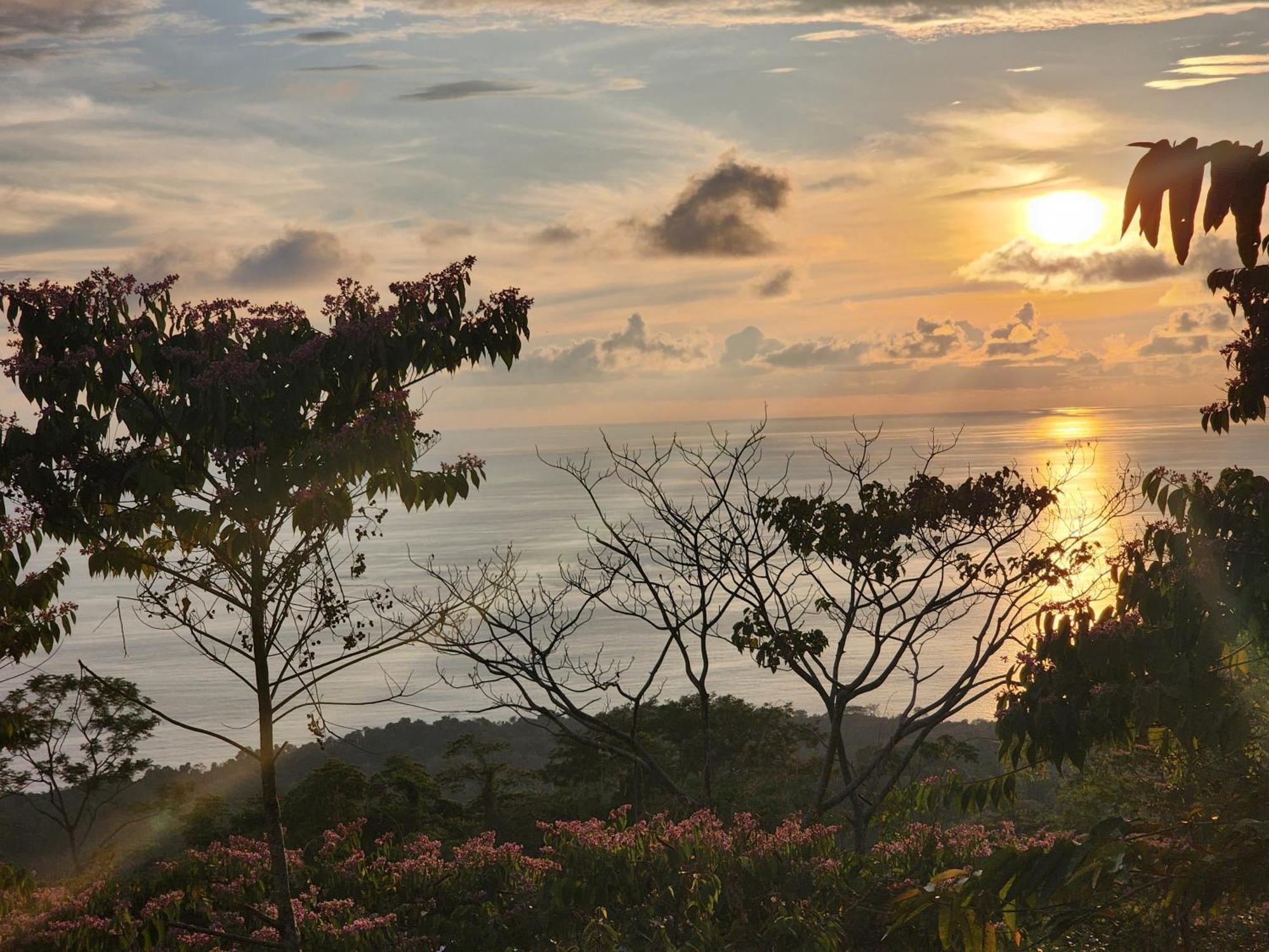 Canavida Villas & Resort Uvita Eksteriør bilde