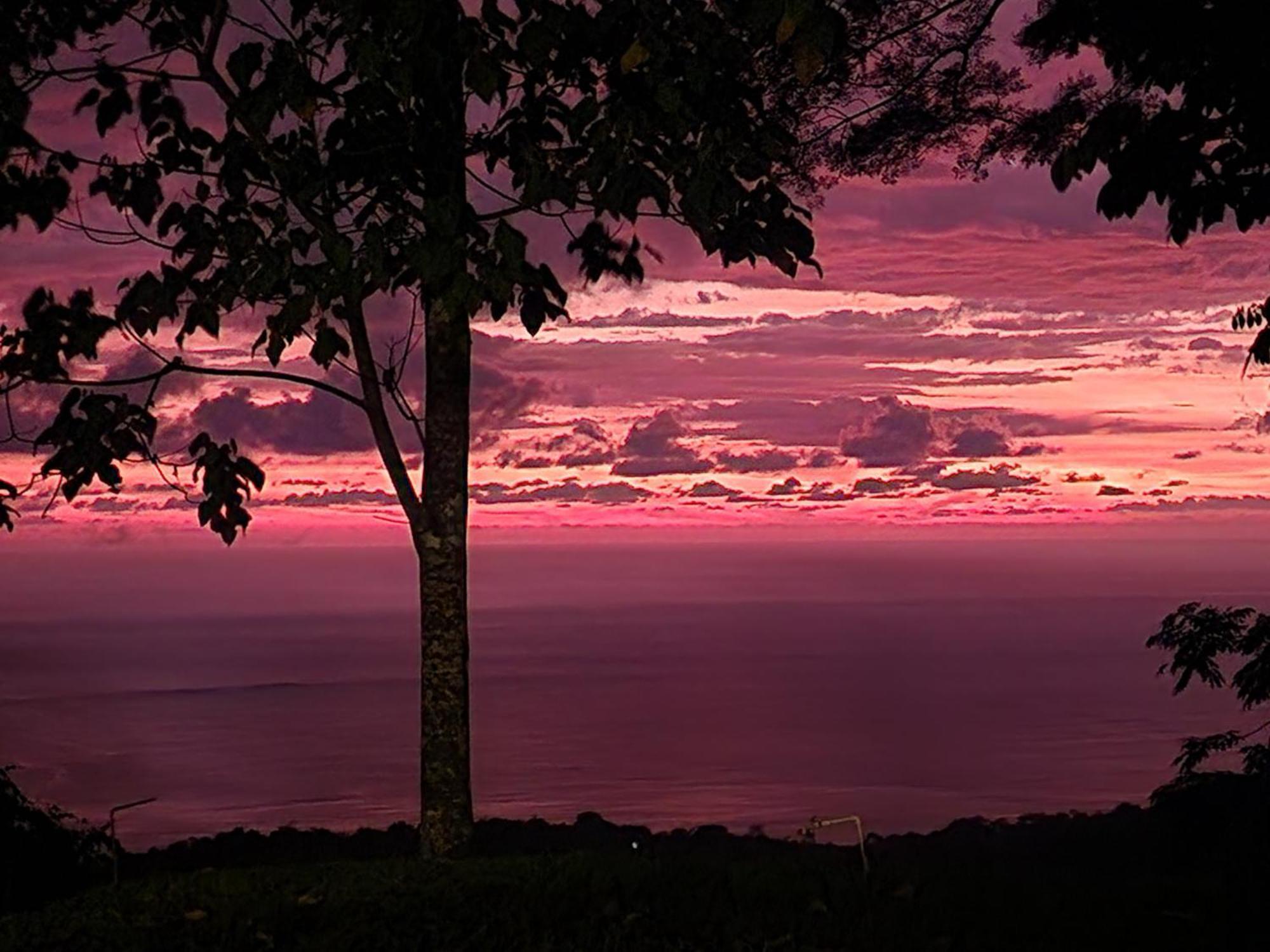 Canavida Villas & Resort Uvita Eksteriør bilde